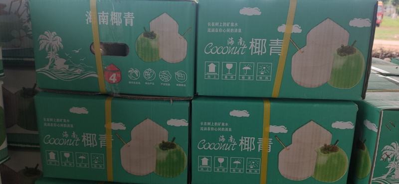 椰子热销海南椰子长期有货原地直发量大优惠