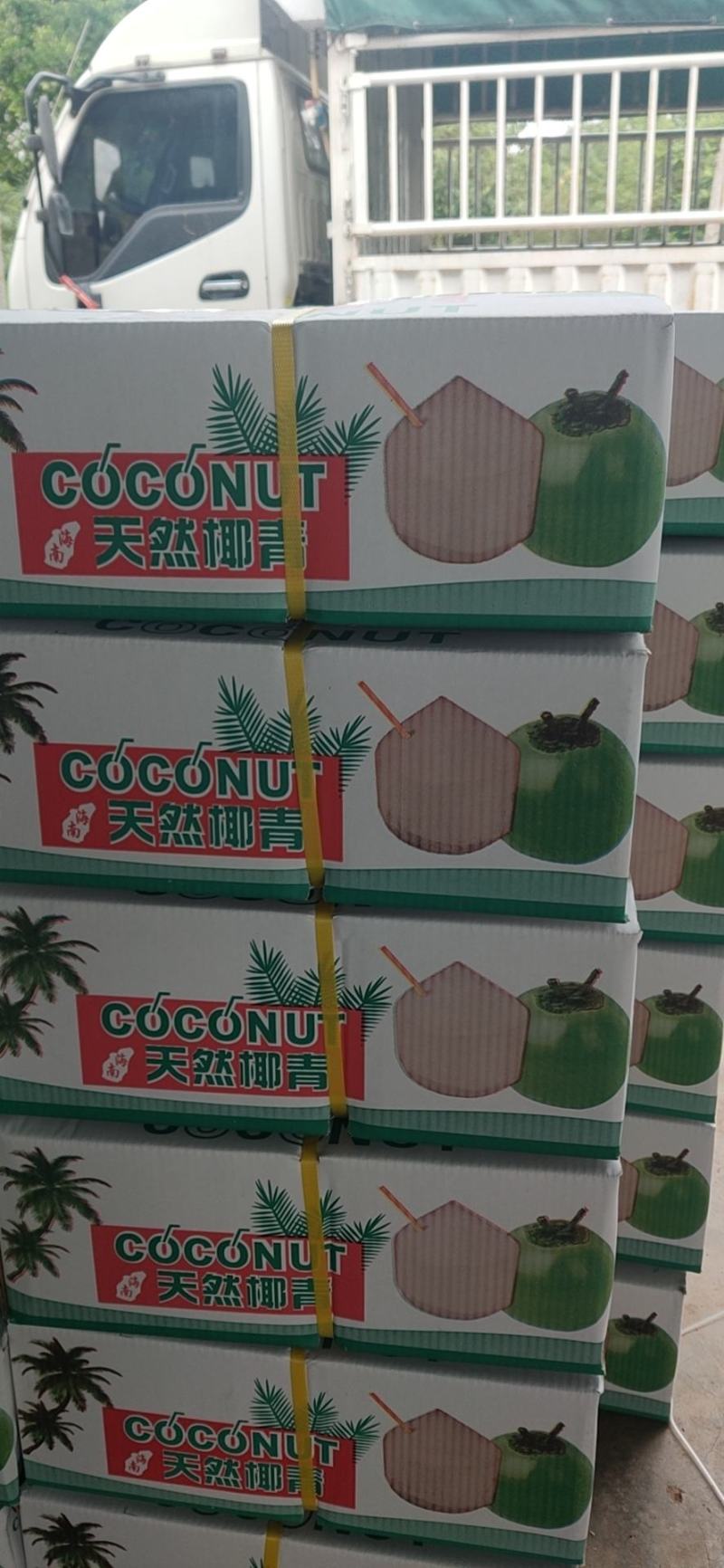 椰子热销海南椰子长期有货原地直发量大优惠
