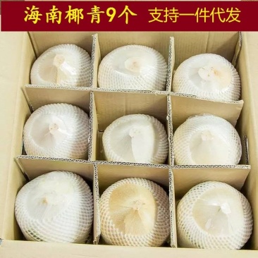 椰子热销海南椰子长期有货原地直发量大优惠