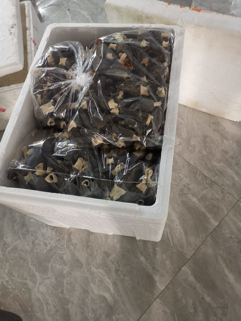 德兴市本地种植羊肚菌干品，品质保证，价格优惠