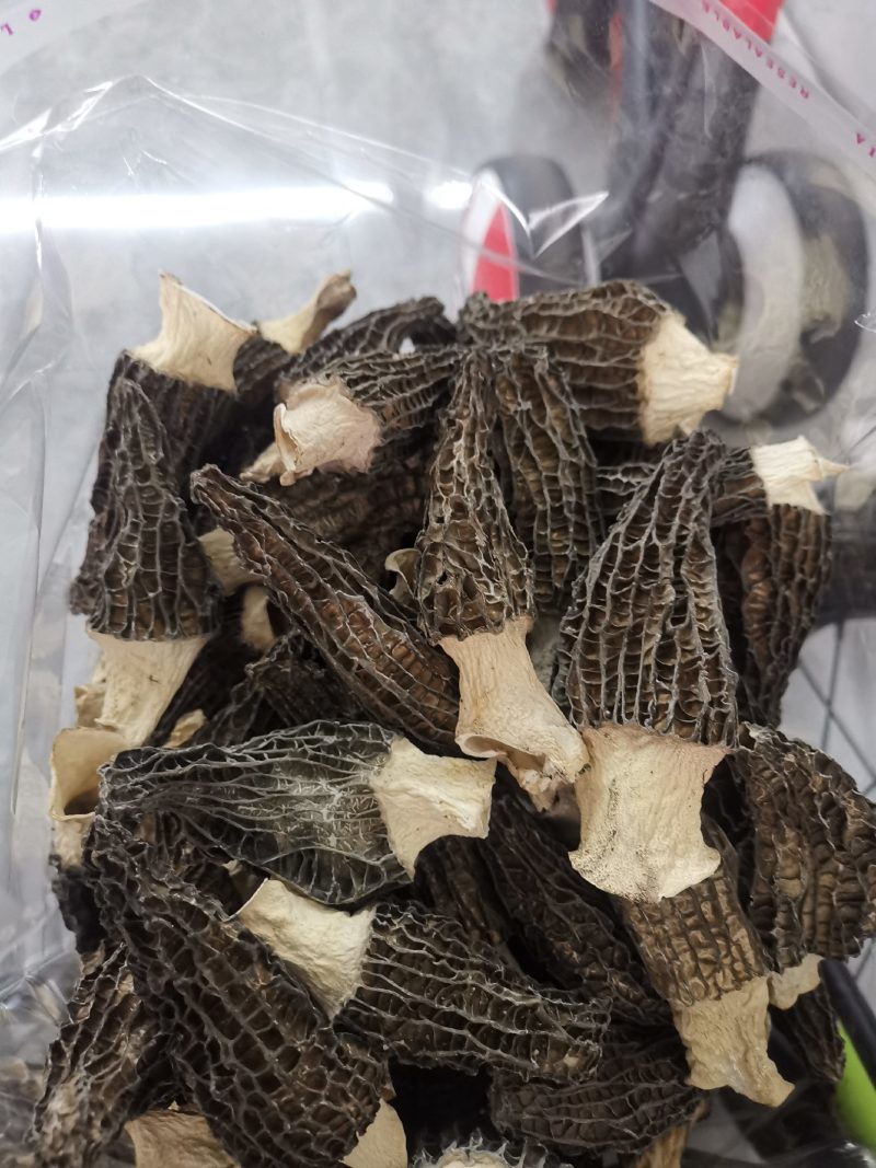 德兴市本地种植羊肚菌干品，品质保证，价格优惠