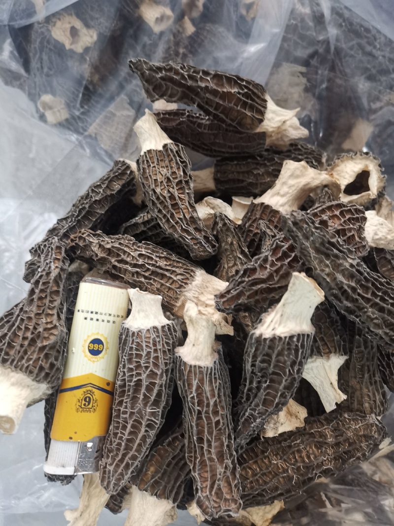 德兴市本地种植羊肚菌干品，品质保证，价格优惠