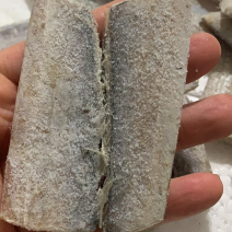 带鱼小尾