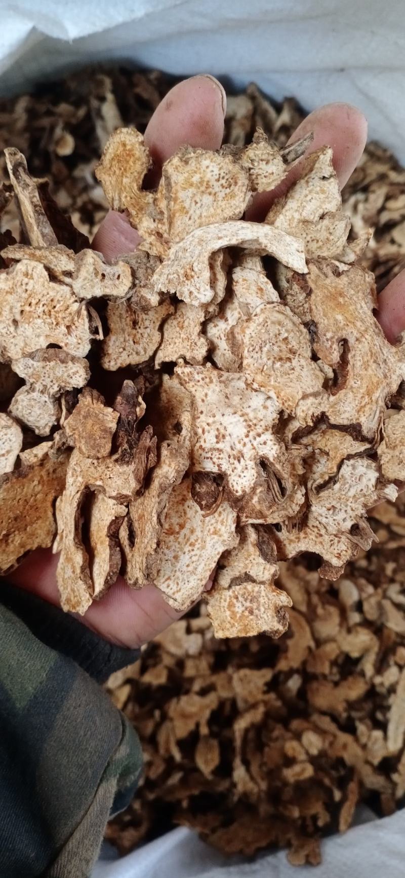 苍术苍术个子苍术片子家种苍术大货供应量大从优欢迎购