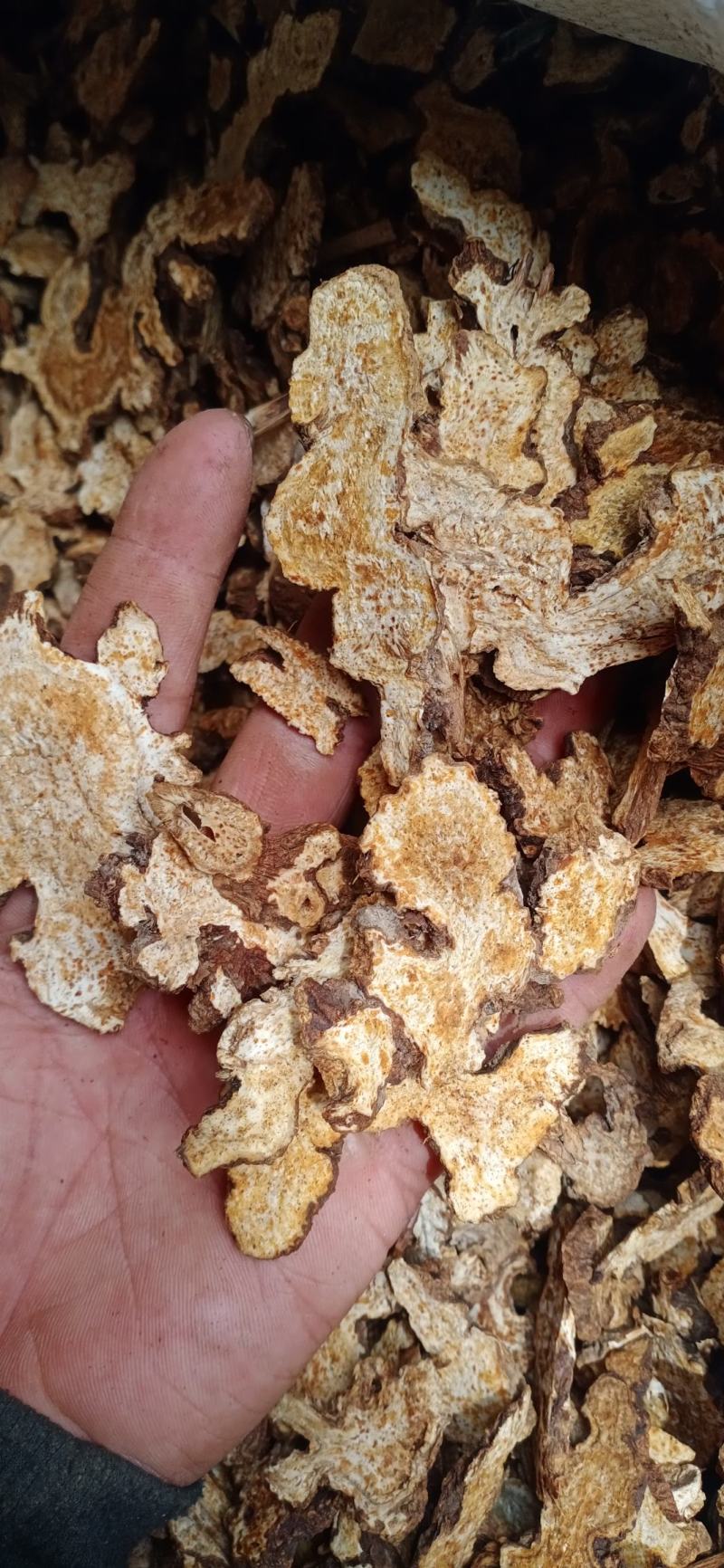 苍术片子苍术个子家种苍术大货批发供应量大从优欢迎选购