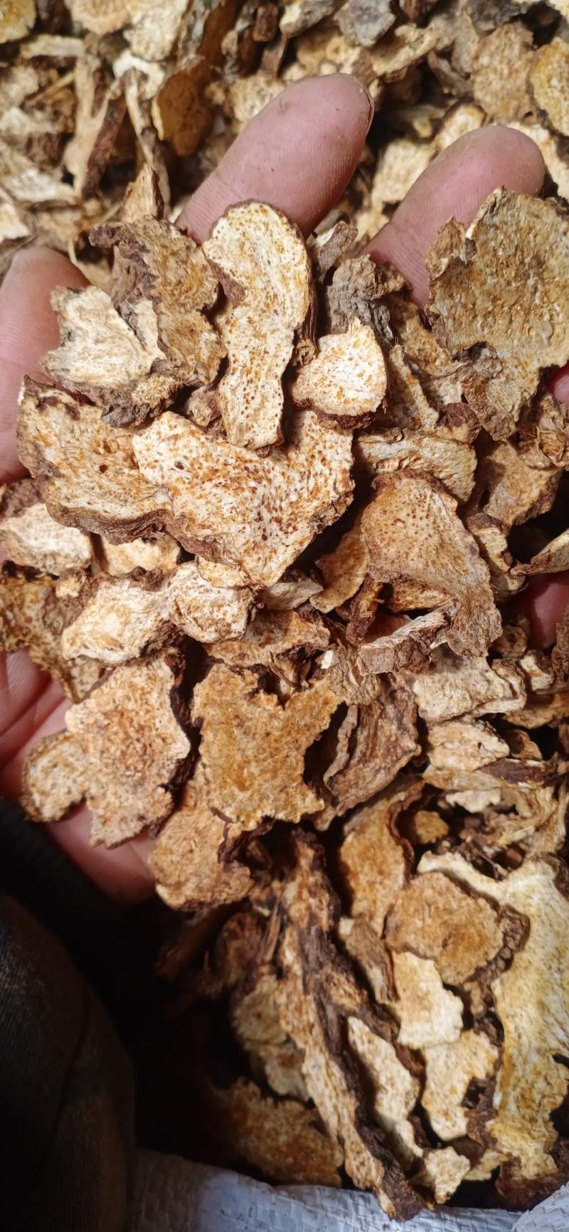 苍术片子苍术个子家种苍术大货批发供应量大从优欢迎选购