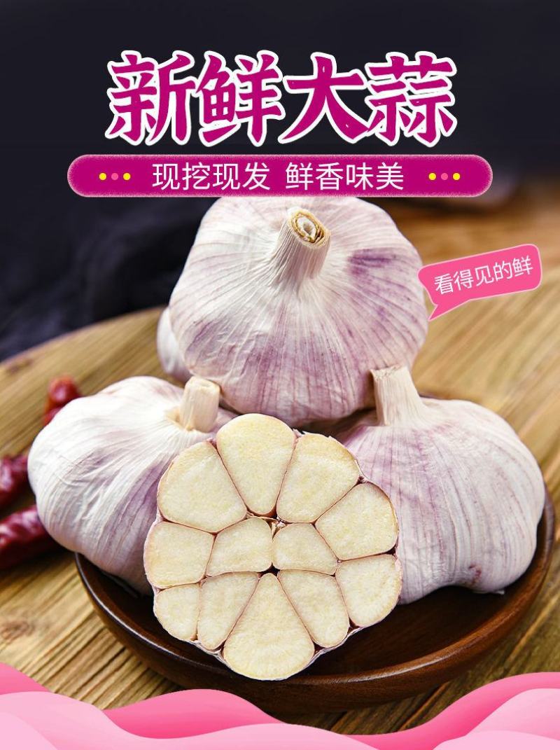 最新干大蒜河南特产新干蒜新鲜大蒜紫皮白皮