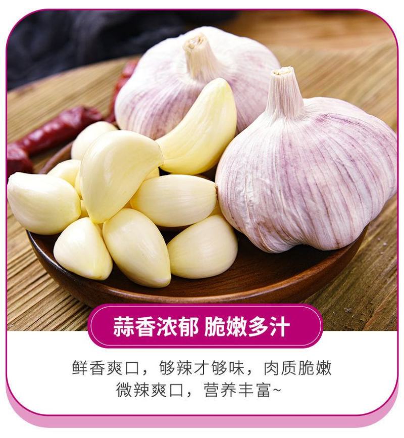 最新干大蒜河南特产新干蒜新鲜大蒜紫皮白皮