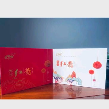 河南焦作原产地冰菊