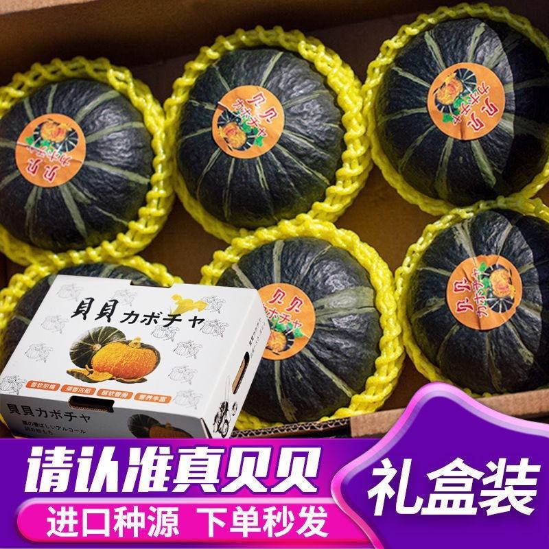 [一件代发]正宗贝贝南瓜进口种源粉糯香甜批发基地直发