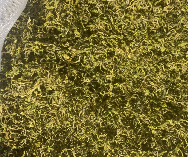 缙云黄茶