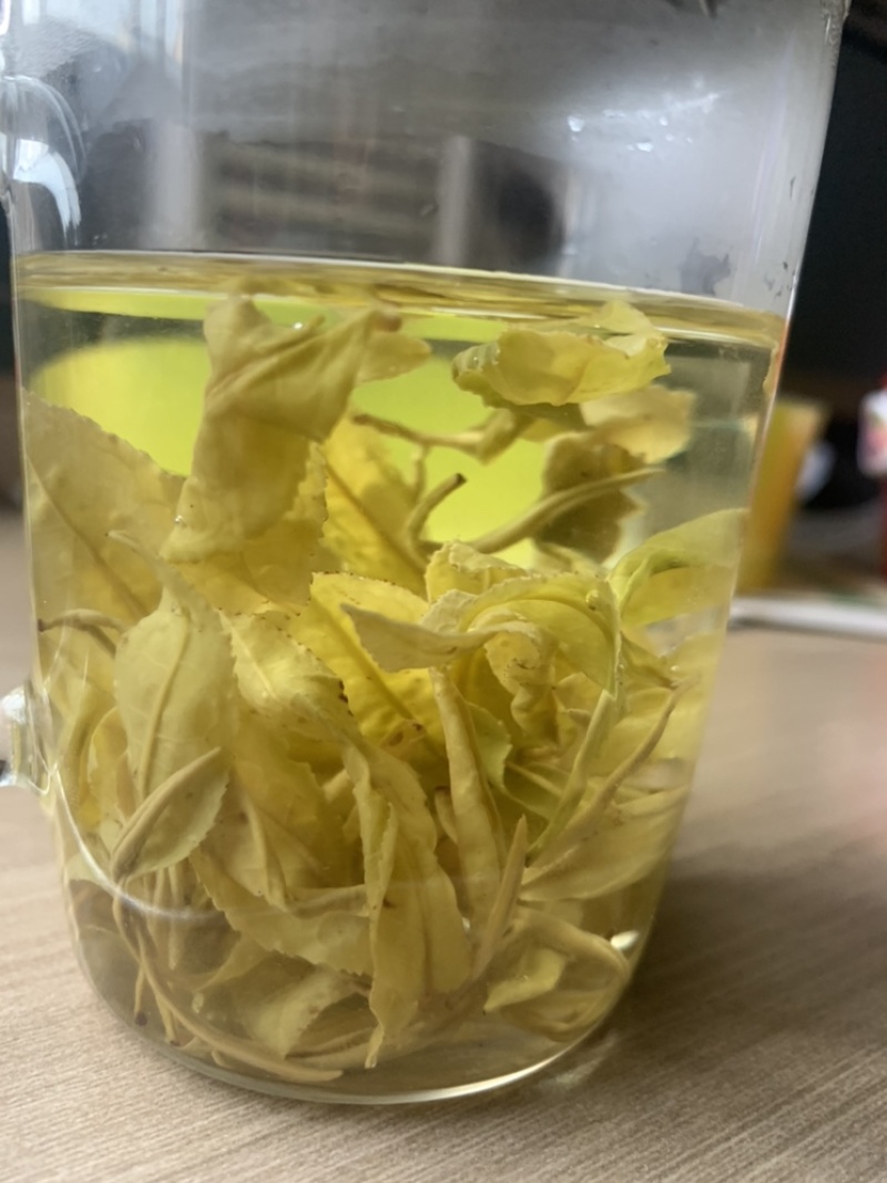 缙云黄茶