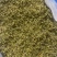 缙云黄茶