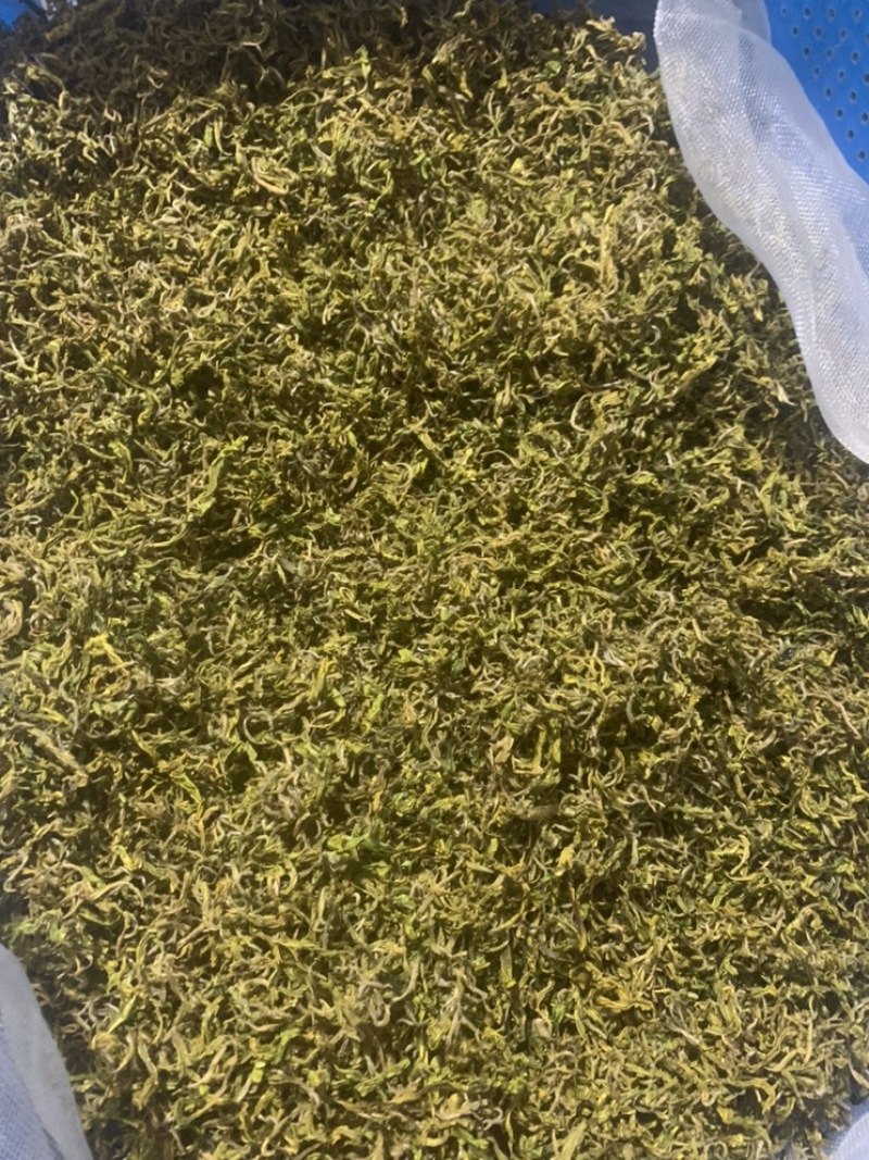 缙云黄茶