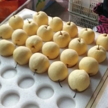 陕西老赵商贸