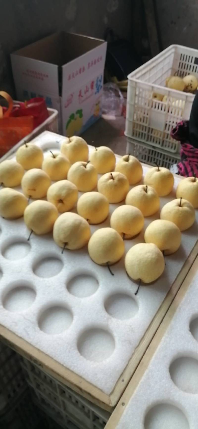 陕西老赵商贸