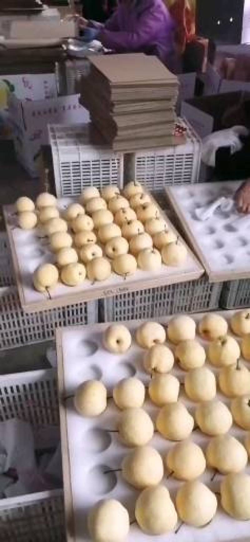 陕西老赵商贸