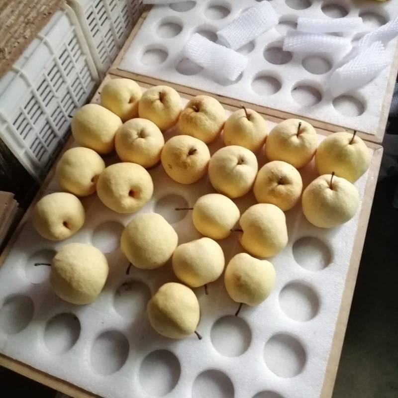 陕西老赵商贸