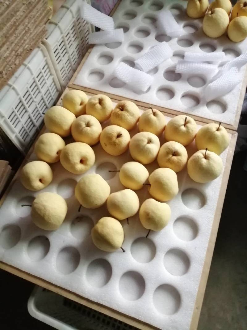 陕西老赵商贸