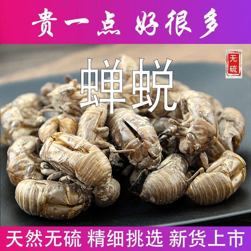 蝉蜕蝉壳知了皮蝉退壳金牛儿蝉退蝉衣