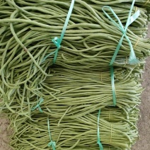 精品长豇工