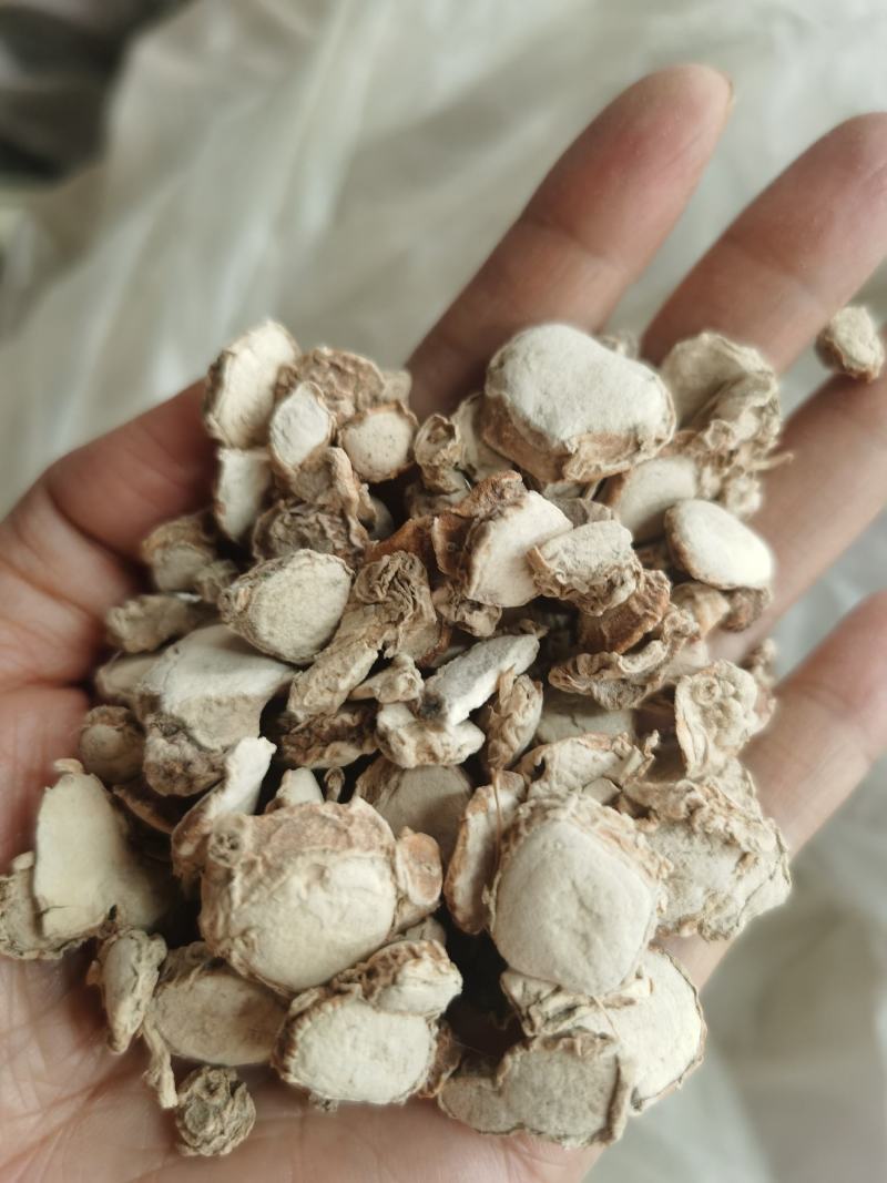 沙姜山奈三奈阳春沙姜广东沙姜香料卤料