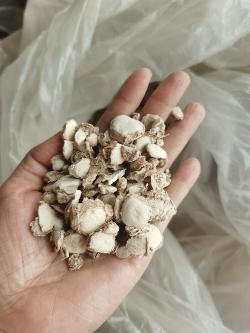 沙姜山奈三奈阳春沙姜广东沙姜香料卤料