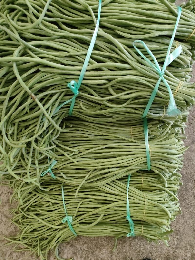 精品长豇工