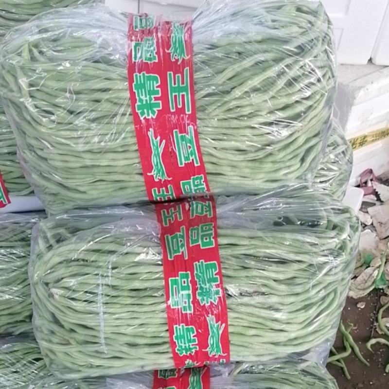 无丝豆，产地直销，保质保量，欢迎批发商超老板联系！
