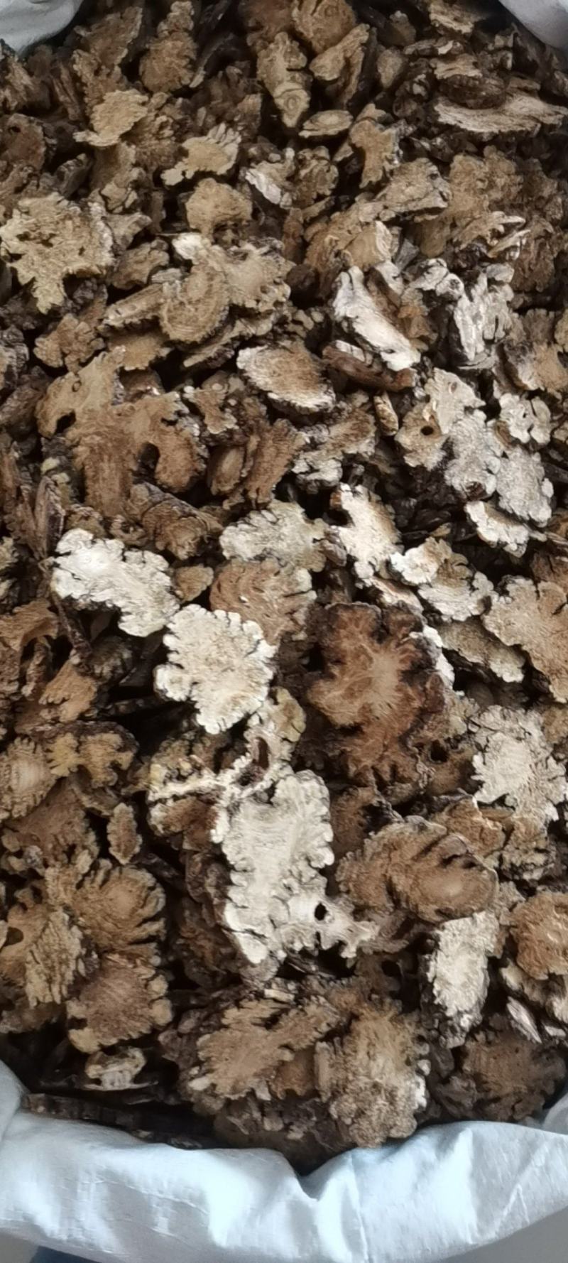 川芎今年新货量大从优
