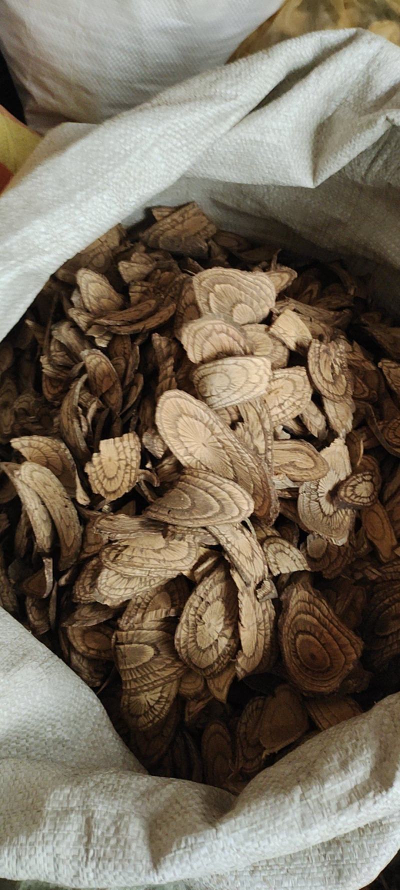 麻骨风，买麻藤，驳骨藤，广西深山野生药材。10斤起发货
