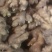 【精品小黄姜】山东生姜山东小黄姜产地直销