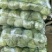 精品圆包菜甘蓝大量上市质量好一手货源基地直发诚信合作