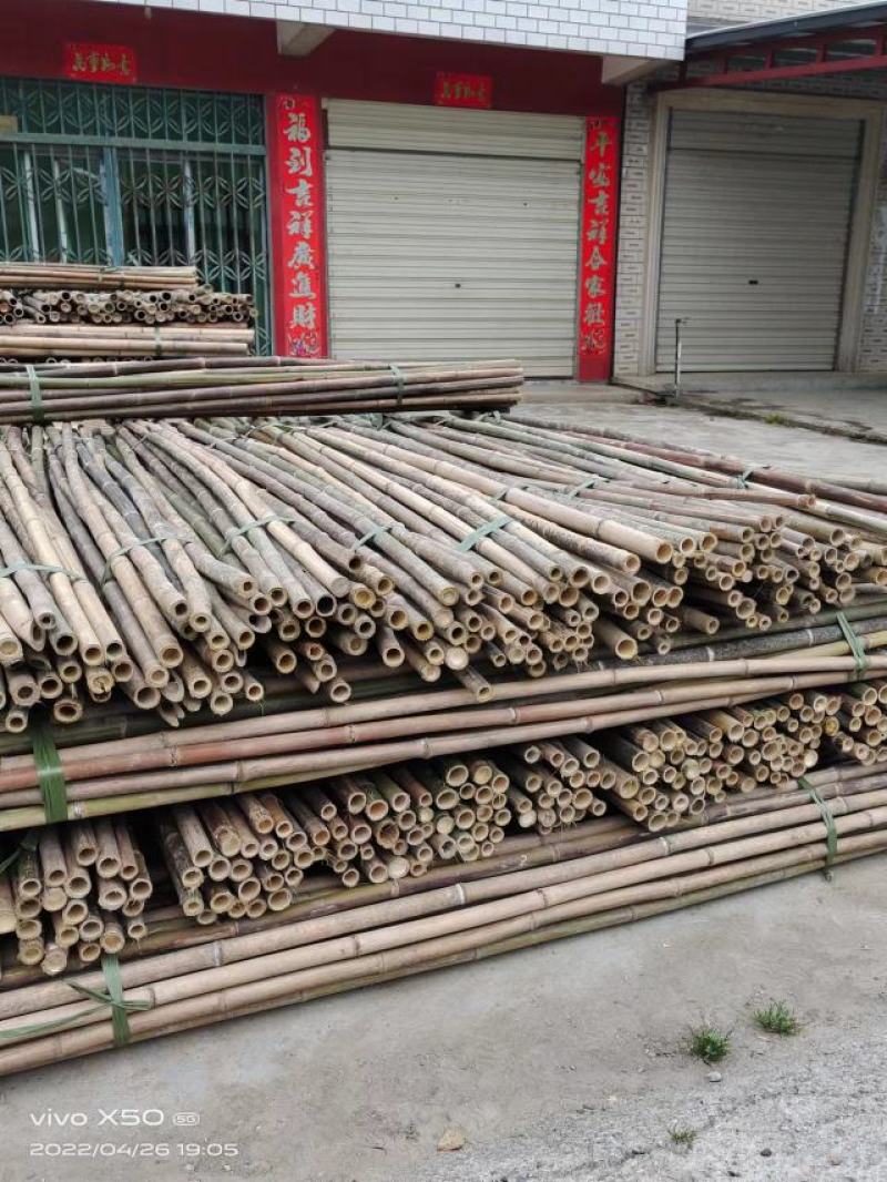 优质竹竿批发