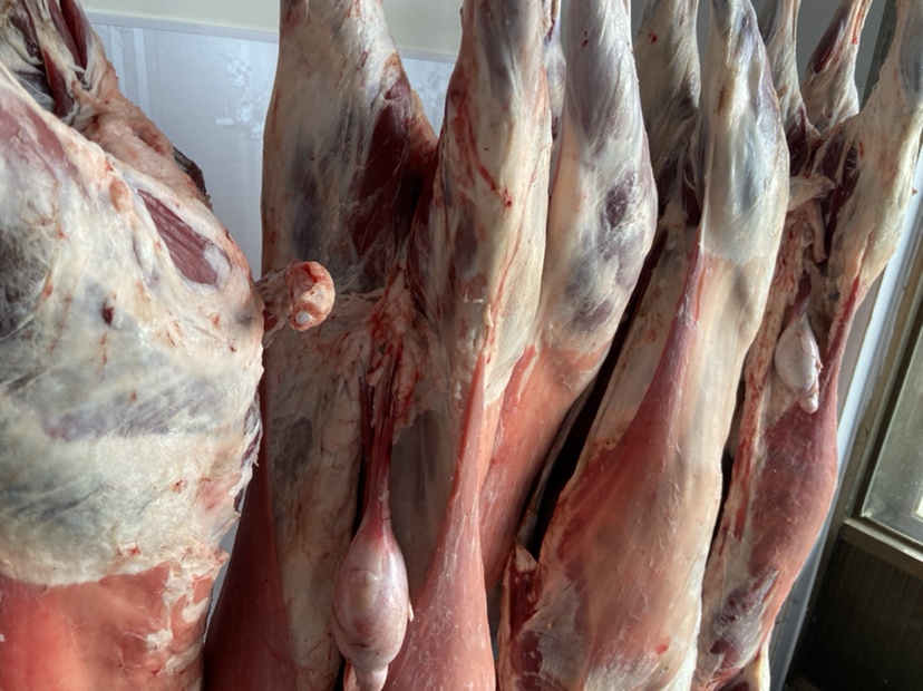 羊白条营养成分分析图