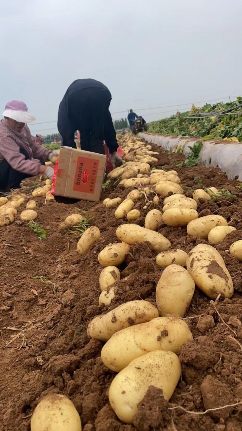 绥中陆地实验一沃土大量上市要的联系