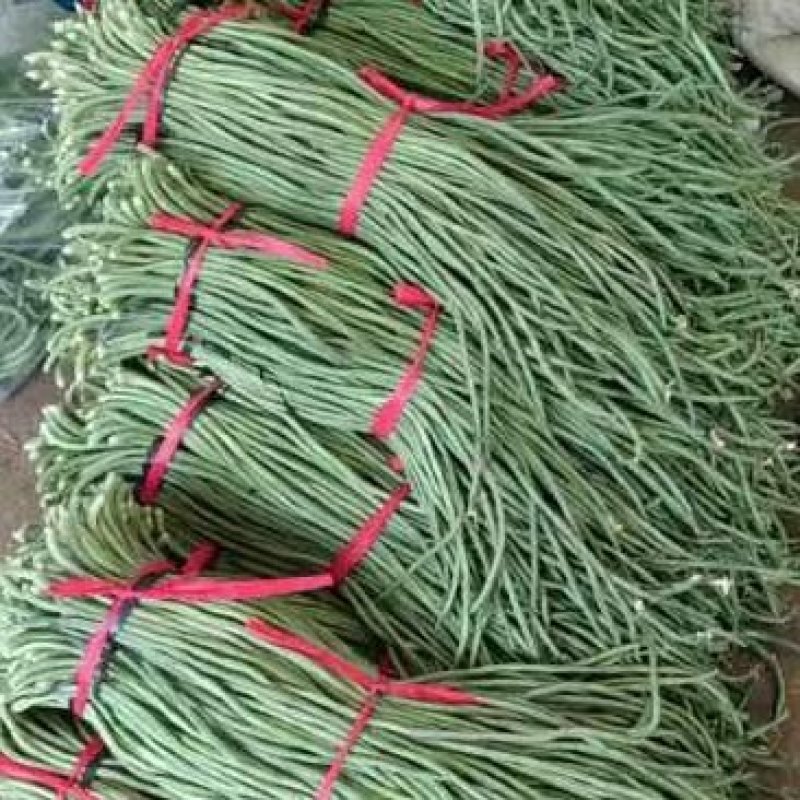 精品长豆角豇豆