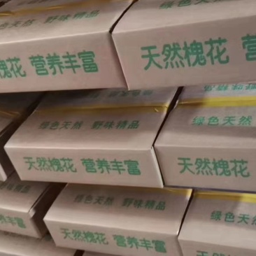 鲜冻洋槐花，槐花，速冻槐花冷冻槐花鲜槐花大量现货