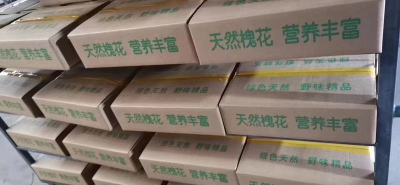 鲜冻槐花洋槐花新货冷冻槐花大量现货