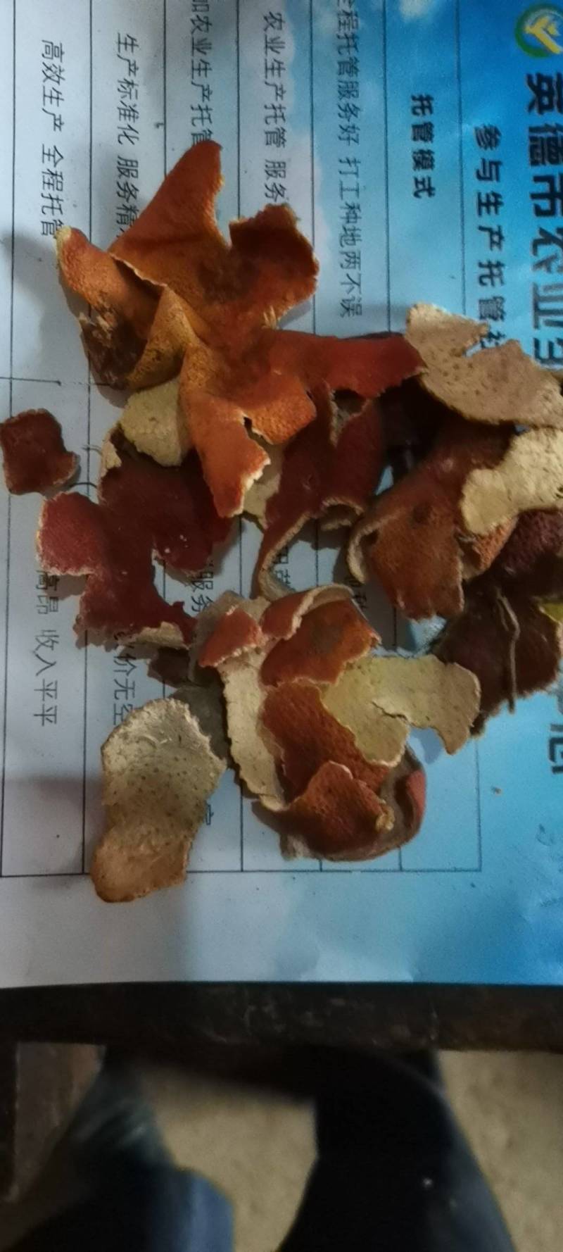 陈皮，杂果皮，有新货，陈货，量大从优