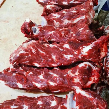 牛脖骨，满肉，可以切块，厂家直销一手货源价格实惠质量保证
