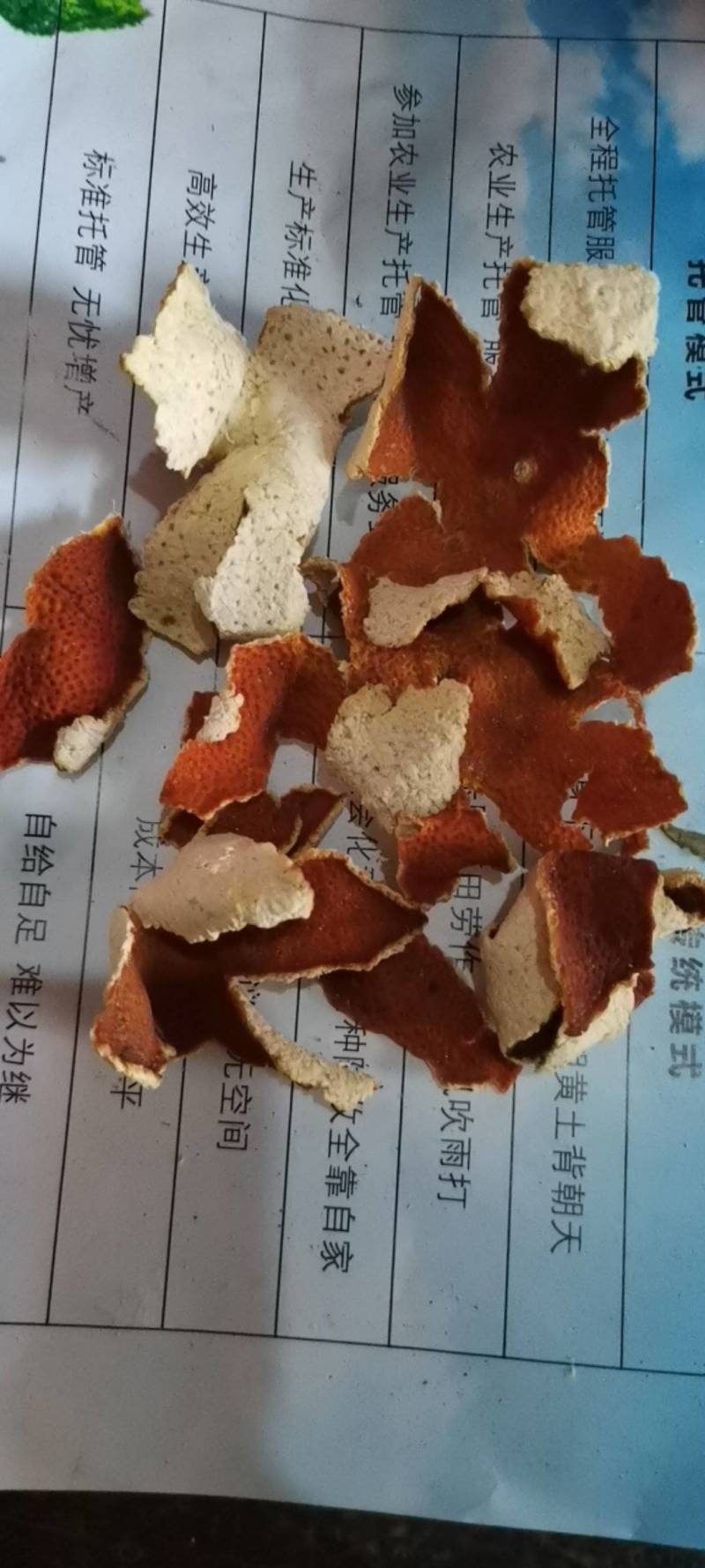 陈皮，杂果皮，有新货，陈货，量大从优