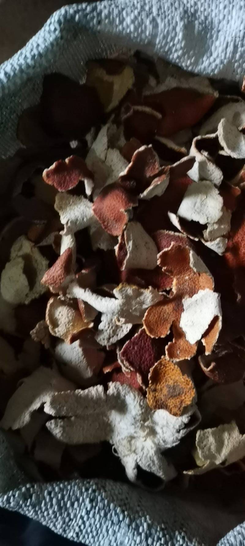 陈皮，杂果皮，有新货，陈货，量大从优