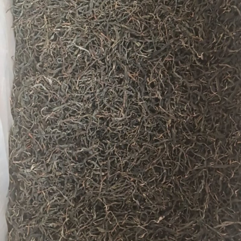 普耳茶，邦东大雪山高海拨的邦东大树茶2023年新茶上市
