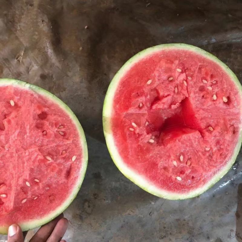 【美都】美都西瓜口感甜汁水多包甜包鲜全国供应