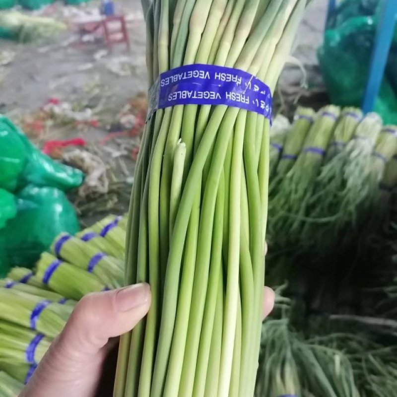邳州红帽蒜薹新鲜上市，精品包装，质量保货量大走市场超市！