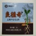 良植奇土壤修复促进剂降盐粗根解除盐分对土壤的胁迫