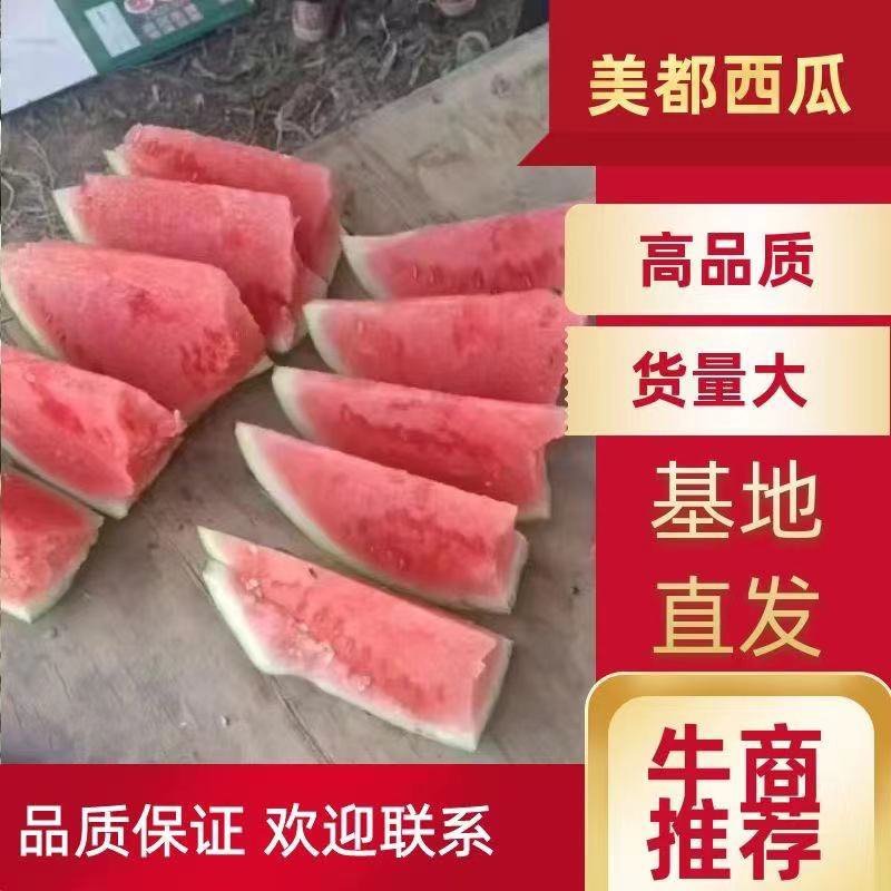 【美都】美都西瓜汁水多包鲜，全国供应商