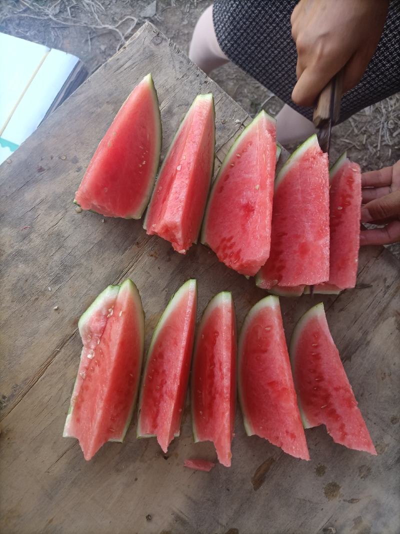 【美都】美都西瓜汁水多包鲜，全国供应商