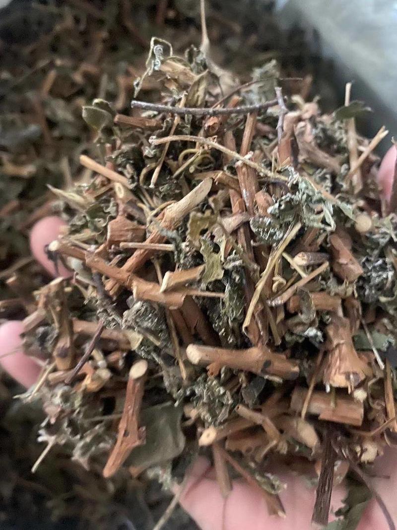 广东溪黄茶（白茶），野生品种，产地直供，量大从优